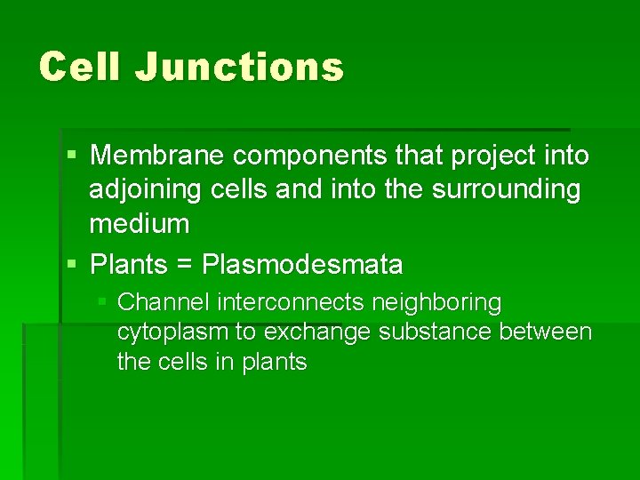 Cell Junctions § Membrane components that project into adjoining cells and into the surrounding