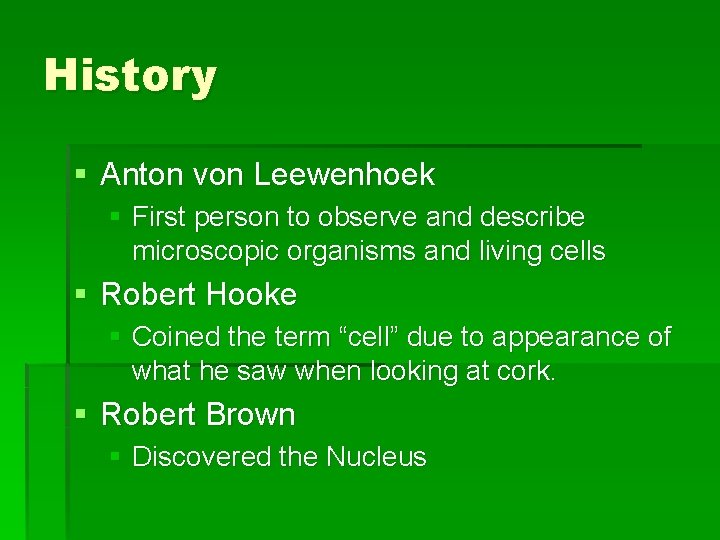 History § Anton von Leewenhoek § First person to observe and describe microscopic organisms