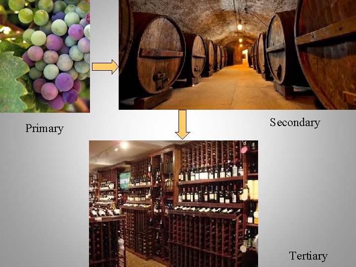 Primary Secondary Tertiary 