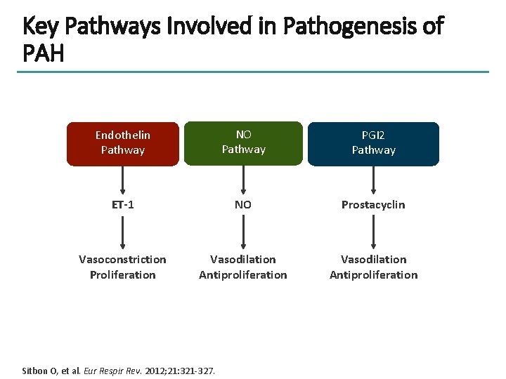 Key Pathways Involved in Pathogenesis of PAH Endothelin Pathway NO Pathway PGI 2 Pathway