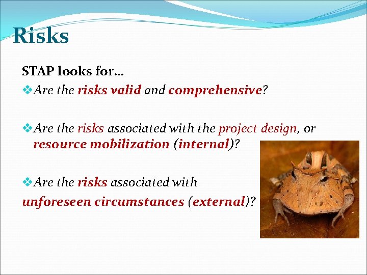 Risks STAP looks for… v. Are the risks valid and comprehensive? v. Are the