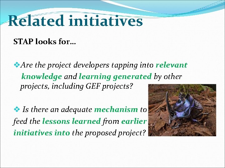 Related initiatives STAP looks for… v. Are the project developers tapping into relevant knowledge