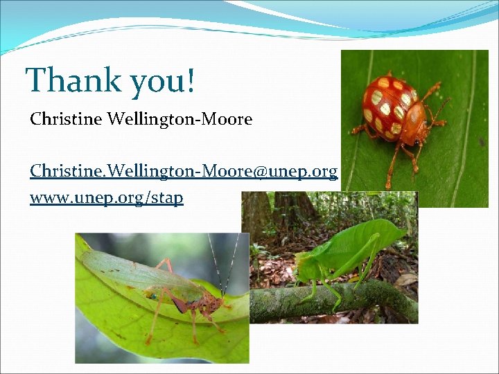 Thank you! Christine Wellington-Moore Christine. Wellington-Moore@unep. org www. unep. org/stap 