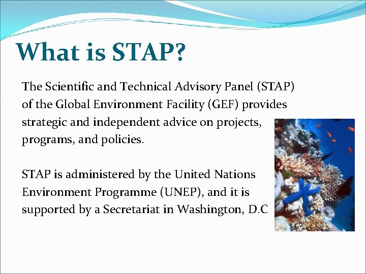 What is STAP? The Scientific and Technical Advisory Panel (STAP) of the Global Environment