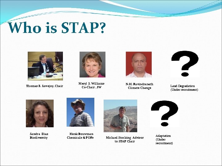 Who is STAP? Thomas E. Lovejoy, Chair Sandra Diaz Biodiversity Meryl J. Williams Co-Chair