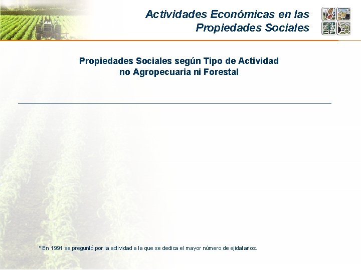 Actividades Económicas en las Propiedades Sociales según Tipo de Actividad no Agropecuaria ni Forestal