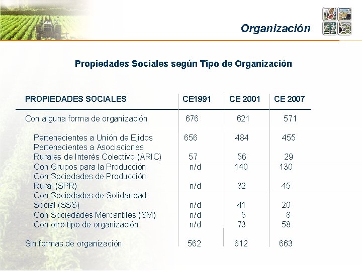 Organización Propiedades Sociales según Tipo de Organización PROPIEDADES SOCIALES Con alguna forma de organización