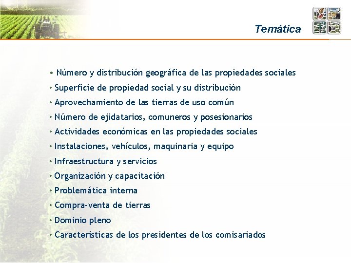 Temática • Número y distribución geográfica de las propiedades sociales • Superficie de propiedad