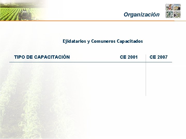 Organización Ejidatarios y Comuneros Capacitados TIPO DE CAPACITACIÓN CE 2001 CE 2007 
