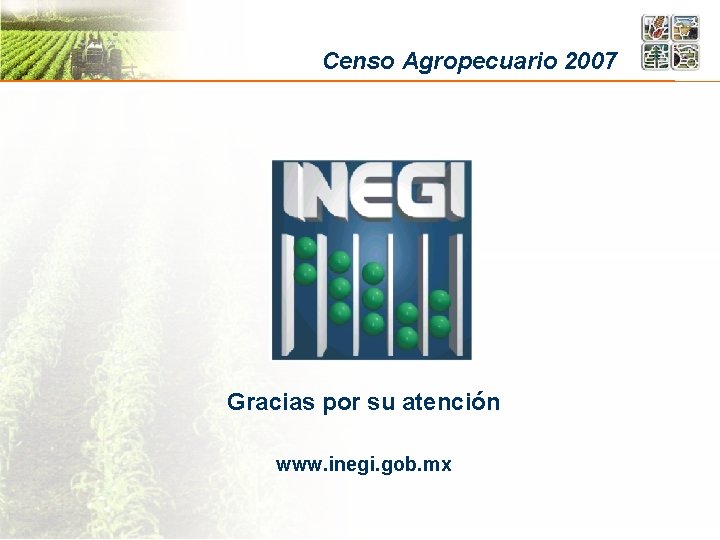 Censo Agropecuario 2007 Gracias por su atención www. inegi. gob. mx 