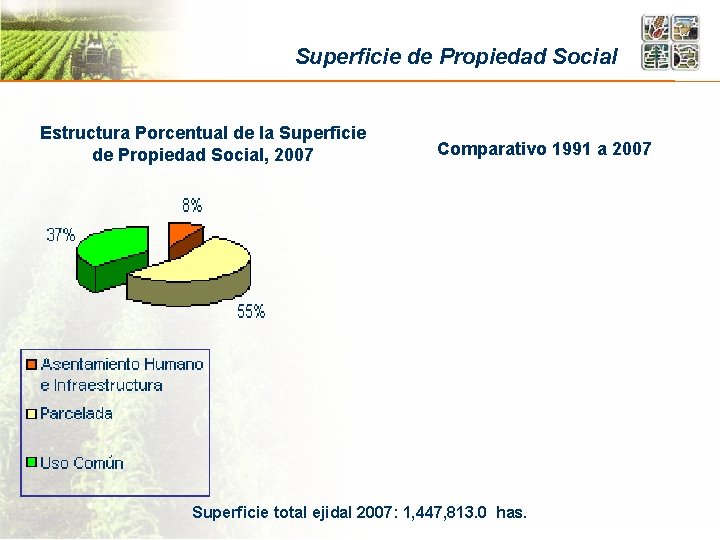 Superficie de Propiedad Social Estructura Porcentual de la Superficie de Propiedad Social, 2007 Comparativo