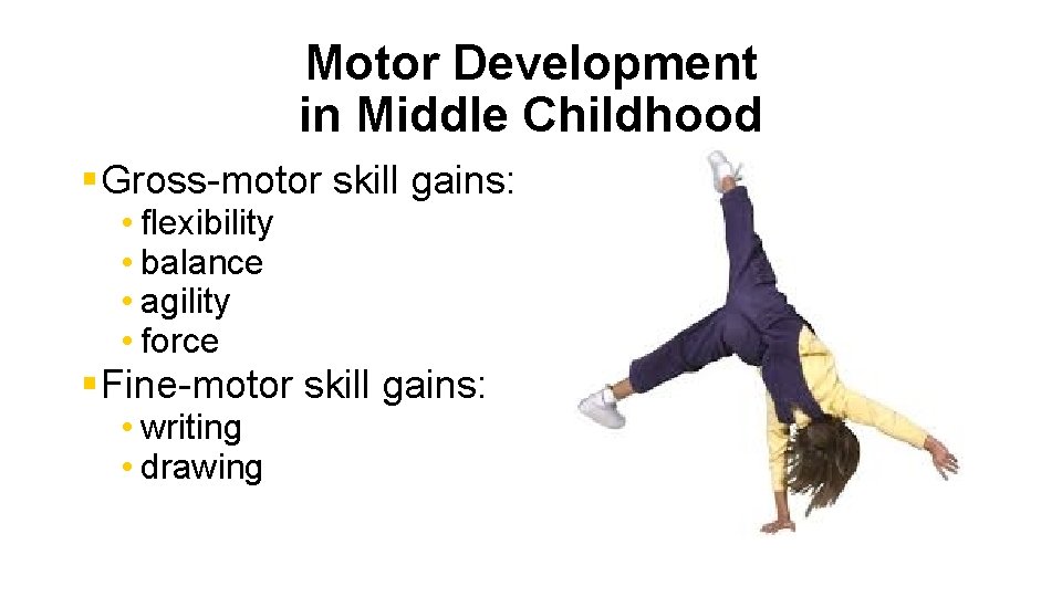Motor Development in Middle Childhood § Gross-motor skill gains: • flexibility • balance •
