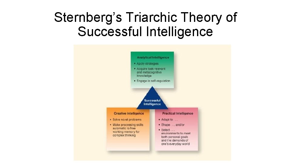 Sternberg’s Triarchic Theory of Successful Intelligence 