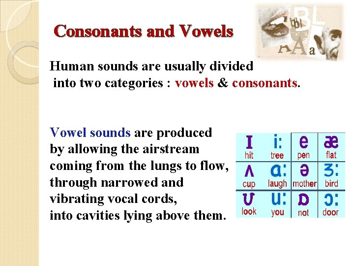 Consonants and Vowels Human sounds are usually divided into two categories : vowels &