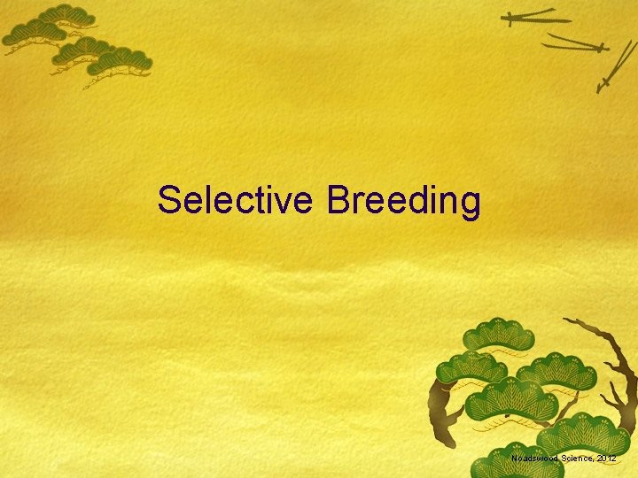 Selective Breeding Noadswood Science, 2012 