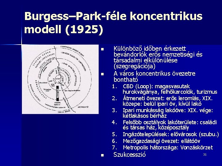 Burgess–Park-féle koncentrikus modell (1925) n n Különböző időben érkezett bevándorlók erős nemzetiségi és társadalmi