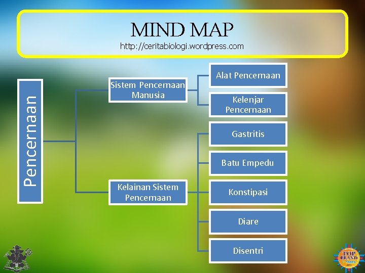 MIND MAP Pencernaan http: //ceritabiologi. wordpress. com Sistem Pencernaan Manusia Alat Pencernaan Kelenjar Pencernaan