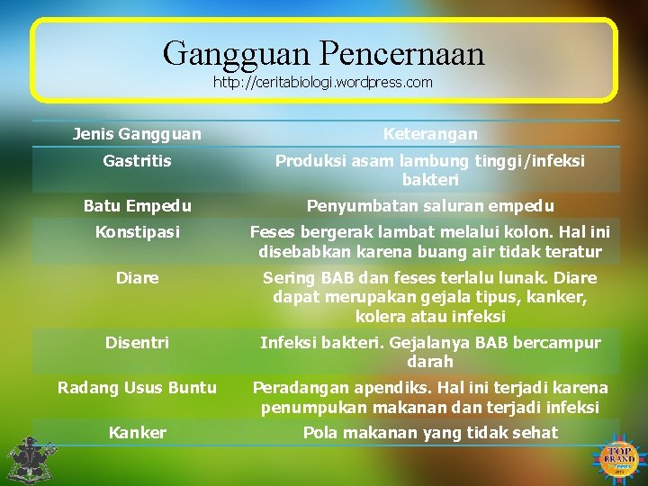 Gangguan Pencernaan http: //ceritabiologi. wordpress. com Jenis Gangguan Keterangan Gastritis Produksi asam lambung tinggi/infeksi