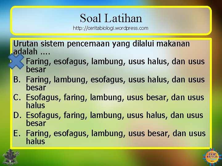 Soal Latihan http: //ceritabiologi. wordpress. com Urutan sistem pencernaan yang dilalui makanan adalah. .