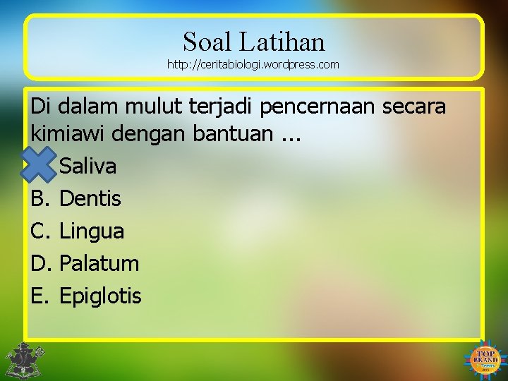 Soal Latihan http: //ceritabiologi. wordpress. com Di dalam mulut terjadi pencernaan secara kimiawi dengan