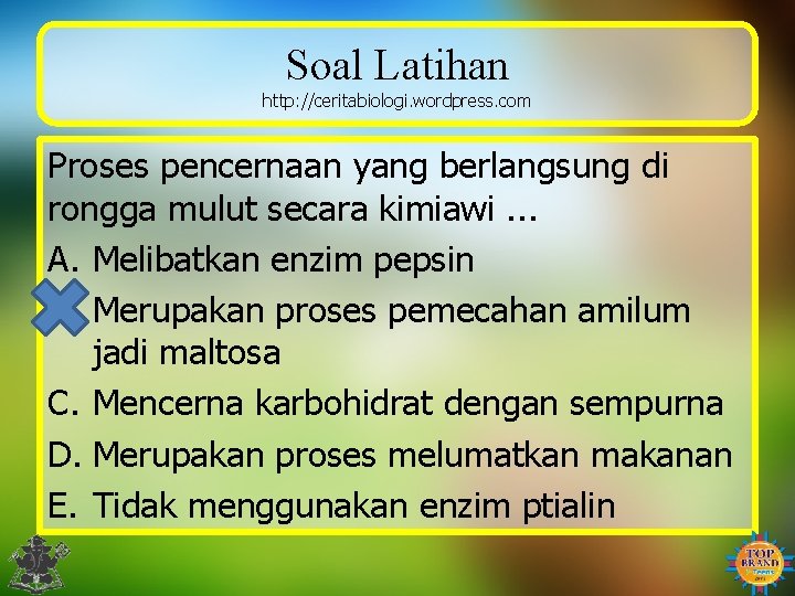 Soal Latihan http: //ceritabiologi. wordpress. com Proses pencernaan yang berlangsung di rongga mulut secara