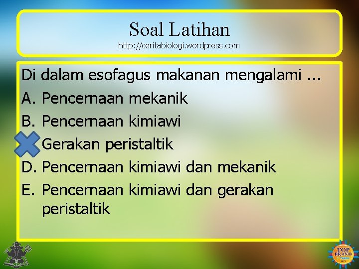 Soal Latihan http: //ceritabiologi. wordpress. com Di dalam esofagus makanan mengalami. . . A.
