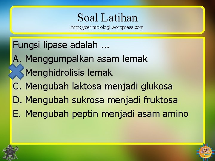 Soal Latihan http: //ceritabiologi. wordpress. com Fungsi lipase adalah. . . A. Menggumpalkan asam