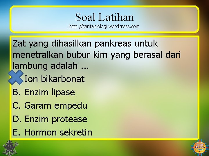 Soal Latihan http: //ceritabiologi. wordpress. com Zat yang dihasilkan pankreas untuk menetralkan bubur kim