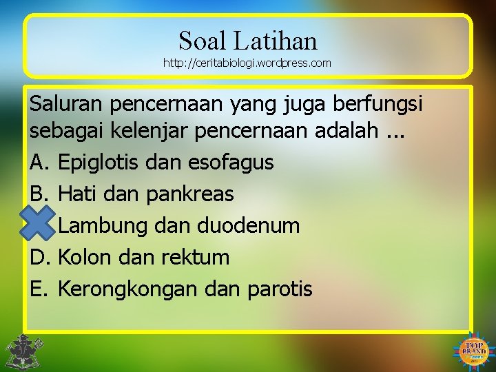 Soal Latihan http: //ceritabiologi. wordpress. com Saluran pencernaan yang juga berfungsi sebagai kelenjar pencernaan