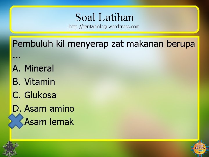 Soal Latihan http: //ceritabiologi. wordpress. com Pembuluh kil menyerap zat makanan berupa. . .