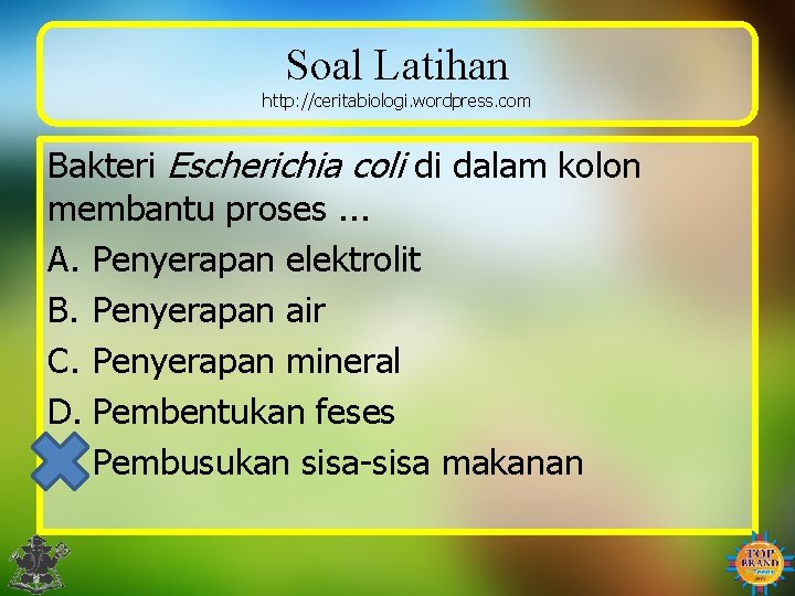 Soal Latihan http: //ceritabiologi. wordpress. com Bakteri Escherichia coli di dalam kolon membantu proses.
