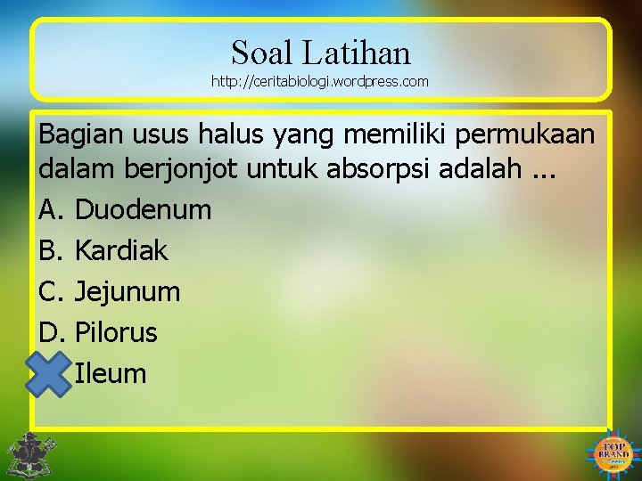 Soal Latihan http: //ceritabiologi. wordpress. com Bagian usus halus yang memiliki permukaan dalam berjonjot