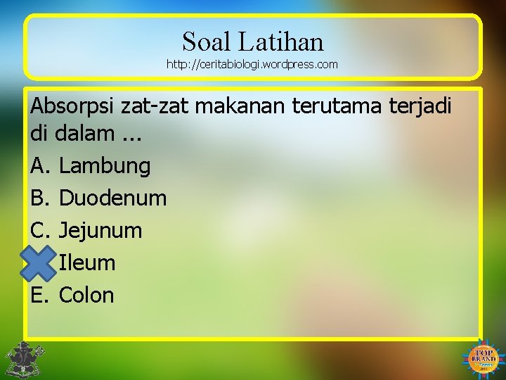 Soal Latihan http: //ceritabiologi. wordpress. com Absorpsi zat-zat makanan terutama terjadi di dalam. .