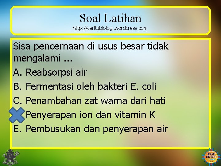 Soal Latihan http: //ceritabiologi. wordpress. com Sisa pencernaan di usus besar tidak mengalami. .