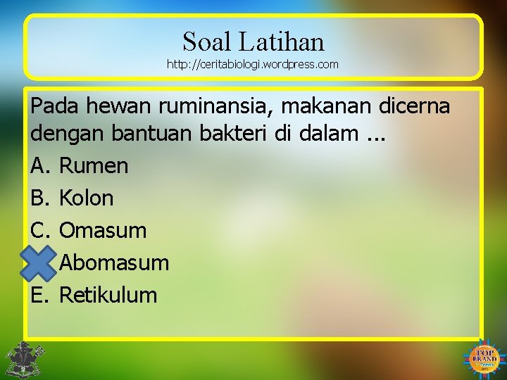Soal Latihan http: //ceritabiologi. wordpress. com Pada hewan ruminansia, makanan dicerna dengan bantuan bakteri