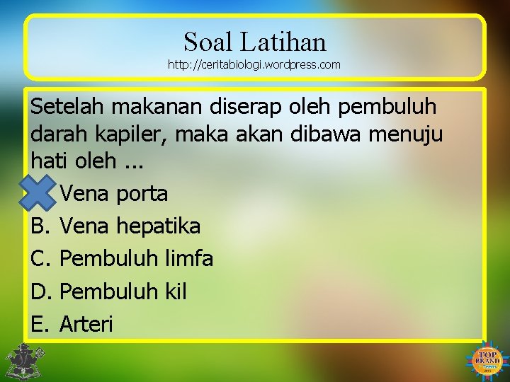 Soal Latihan http: //ceritabiologi. wordpress. com Setelah makanan diserap oleh pembuluh darah kapiler, maka