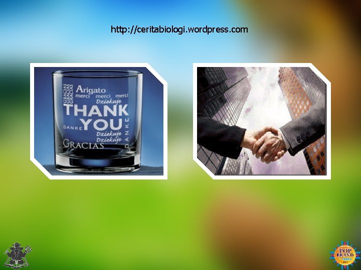 http: //ceritabiologi. wordpress. com 