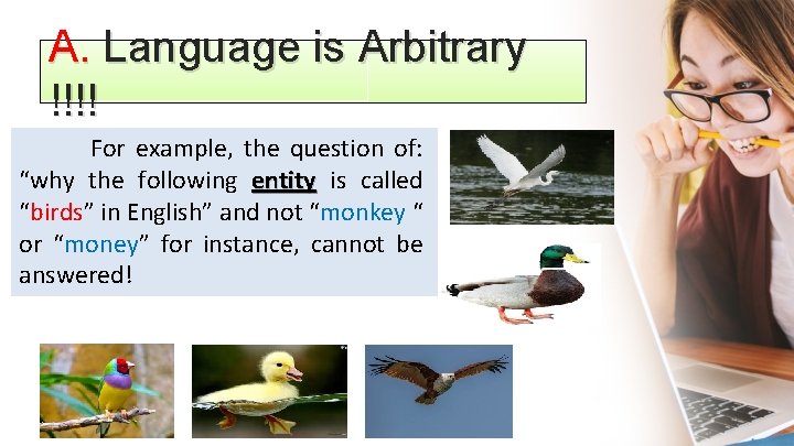 A. Language is Arbitrary !!!! For example, the question of: “why the following entity