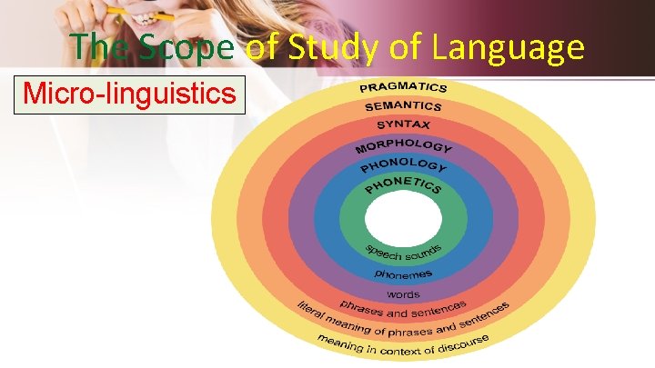 The Scope of Study of Language Micro-linguistics 