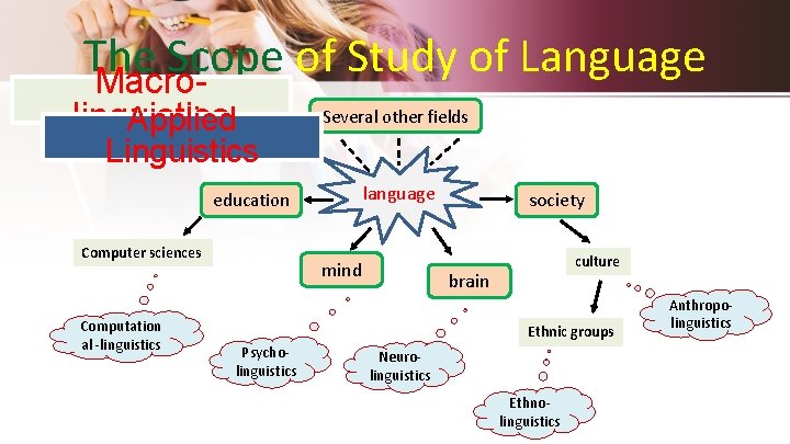 The Scope of Study of Language Macro- linguistics Applied Several other fields Linguistics language