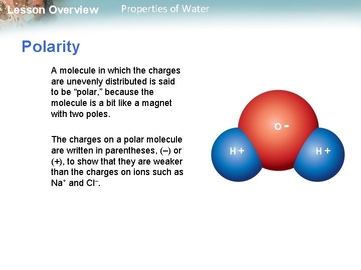 Lesson Overview Properties of Water Polarity A molecule in which the charges are unevenly