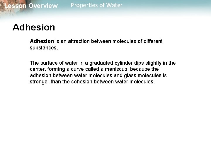 Lesson Overview Properties of Water Adhesion is an attraction between molecules of different substances.