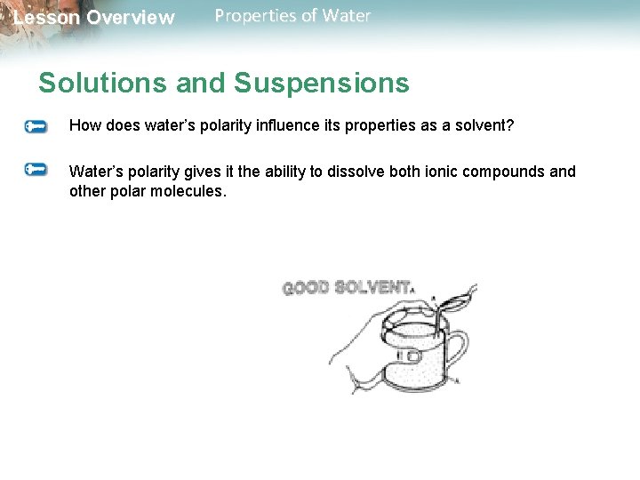 Lesson Overview Properties of Water Solutions and Suspensions How does water’s polarity influence its