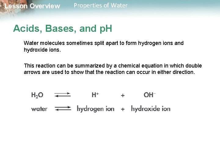 Lesson Overview Properties of Water Acids, Bases, and p. H Water molecules sometimes split