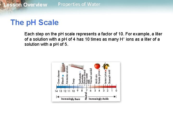 Lesson Overview Properties of Water The p. H Scale Each step on the p.