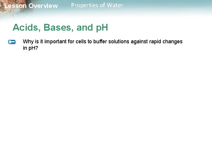 Lesson Overview Properties of Water Acids, Bases, and p. H Why is it important