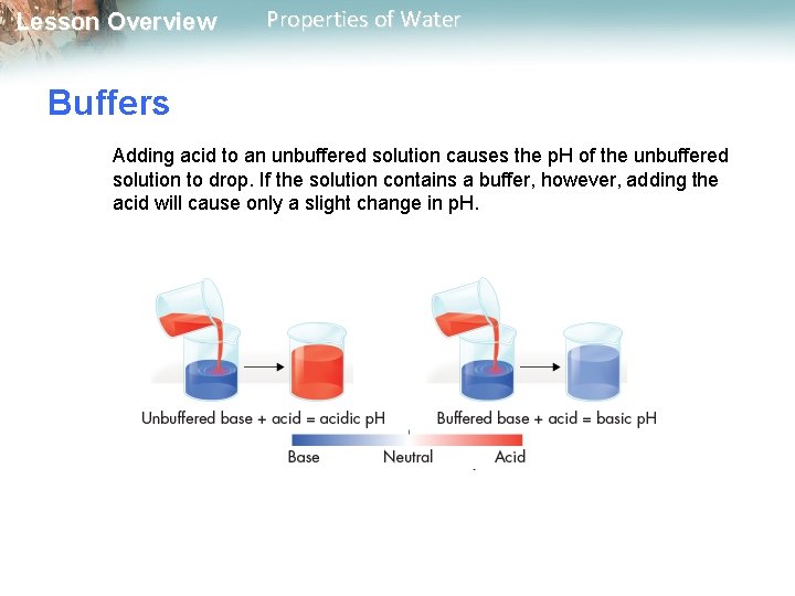 Lesson Overview Properties of Water Buffers Adding acid to an unbuffered solution causes the