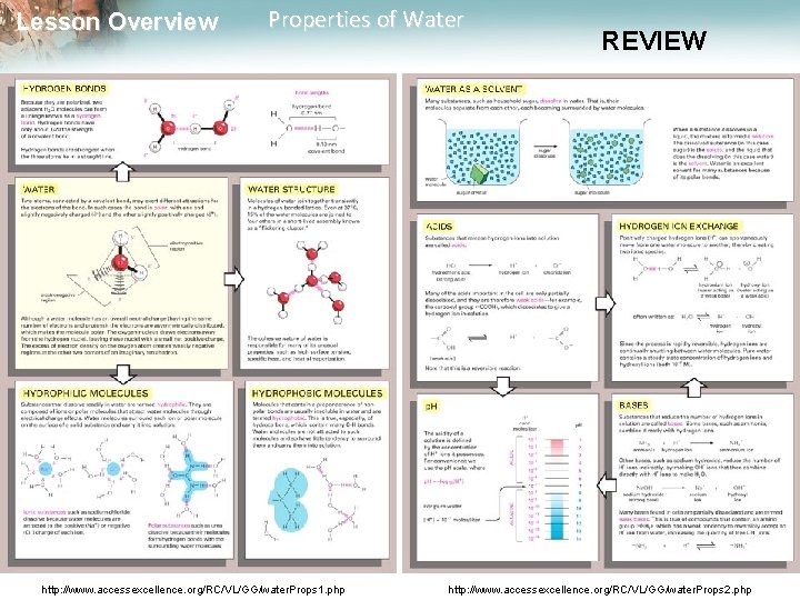 Lesson Overview Properties of Water http: //www. accessexcellence. org/RC/VL/GG/water. Props 1. php REVIEW http: