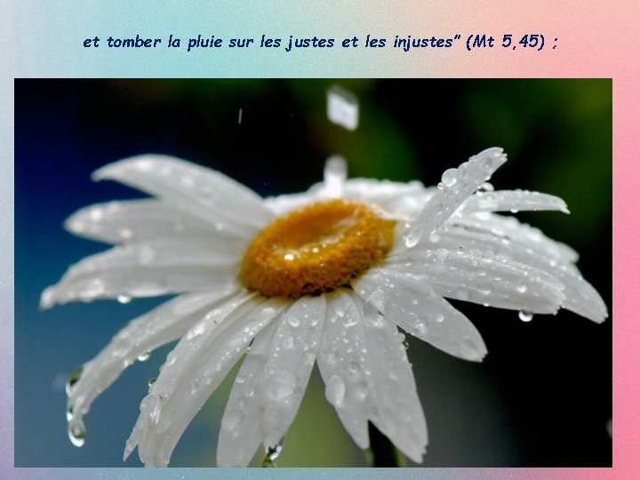 et tomber la pluie sur les justes et les injustes” (Mt 5, 45) ;