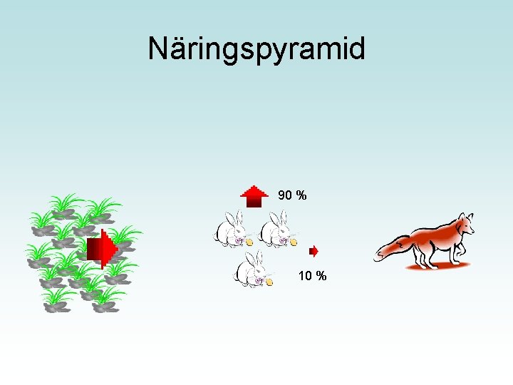 Näringspyramid 90 % 10 % 